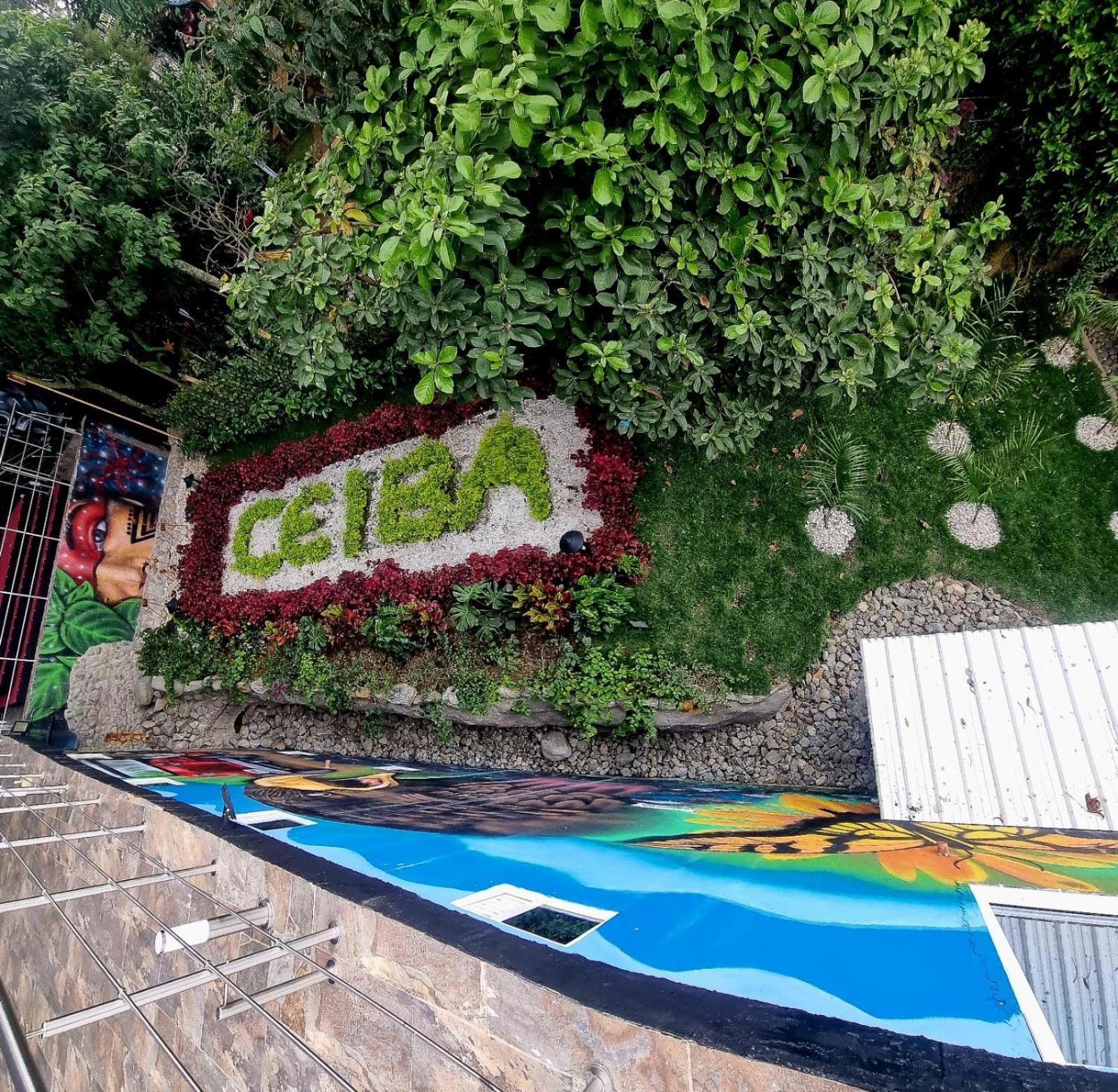Ayenda Ceiba Rooms Перейра Екстер'єр фото